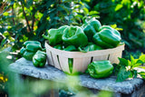 Add this box to your cart to feed a family in need! - Farm To Neighborhoods Produce Boxes