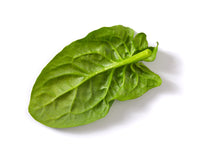 FRESH SPINACH - Farm To Neighborhoods Produce Boxes